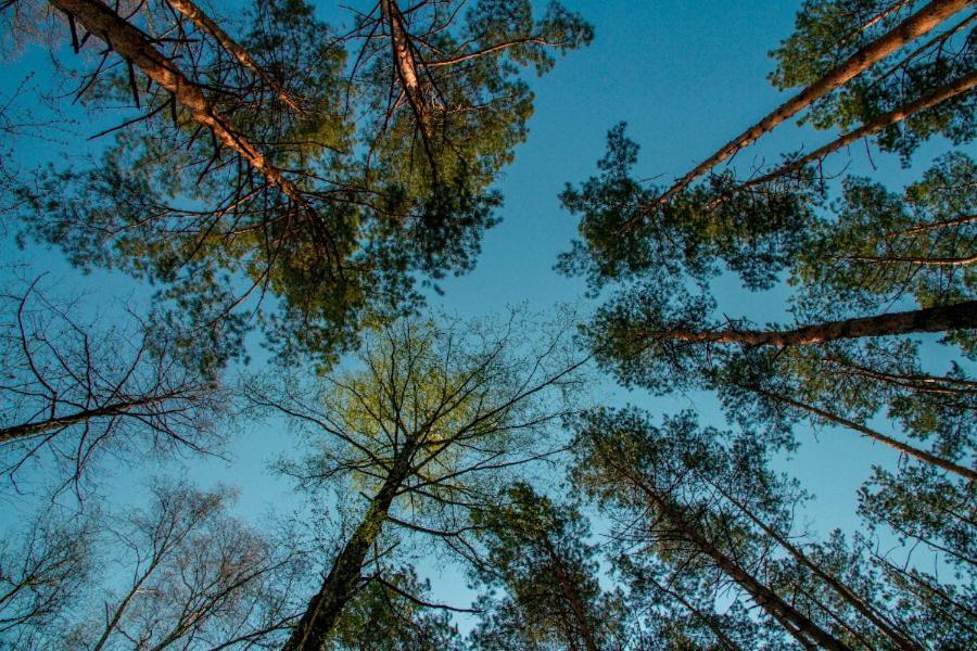 Baza Vidpochinku Energia Hotel Rudnya Peskovskaya Kültér fotó