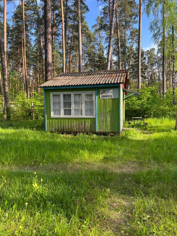 Baza Vidpochinku Energia Hotel Rudnya Peskovskaya Kültér fotó